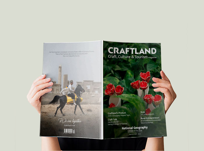CRAFTLAND vol.3-Magazine-Strip